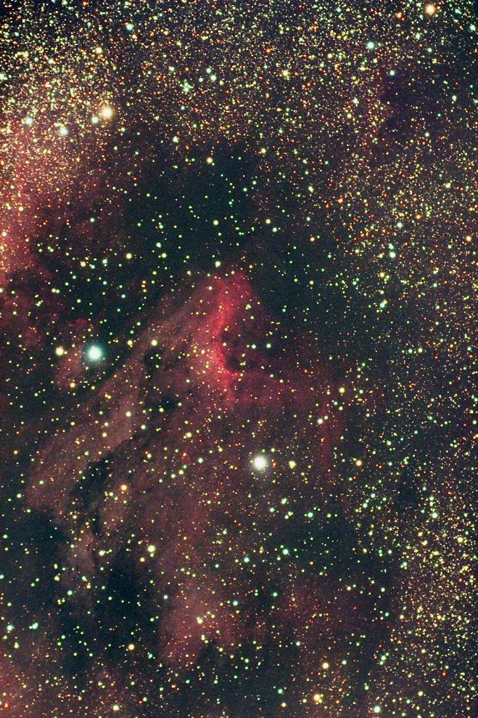 IC 5070 - pelican nebula